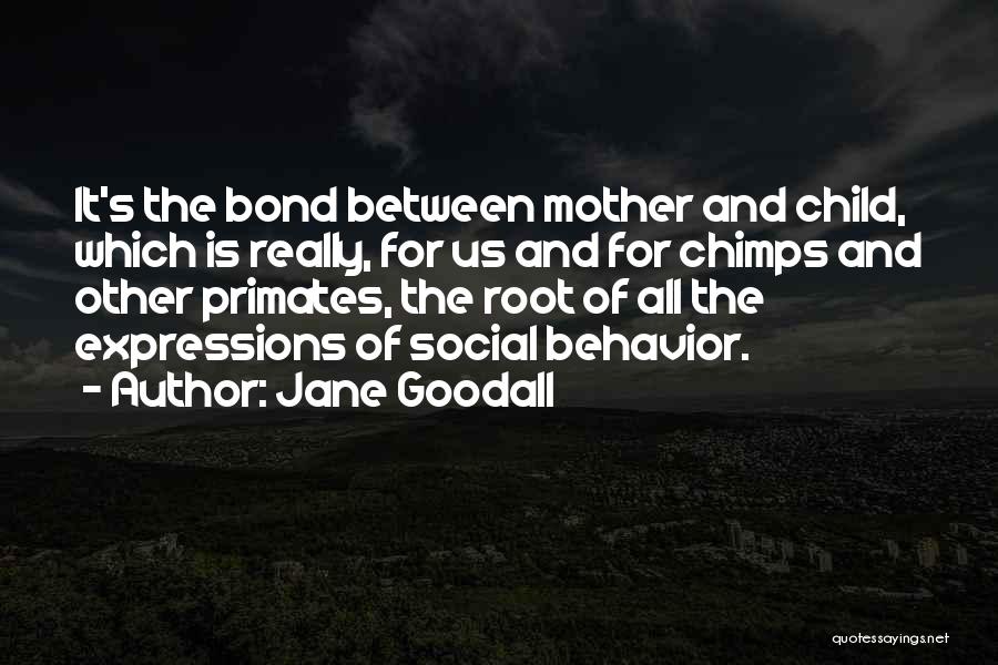 Bond Of Mother And Child Quotes By Jane Goodall