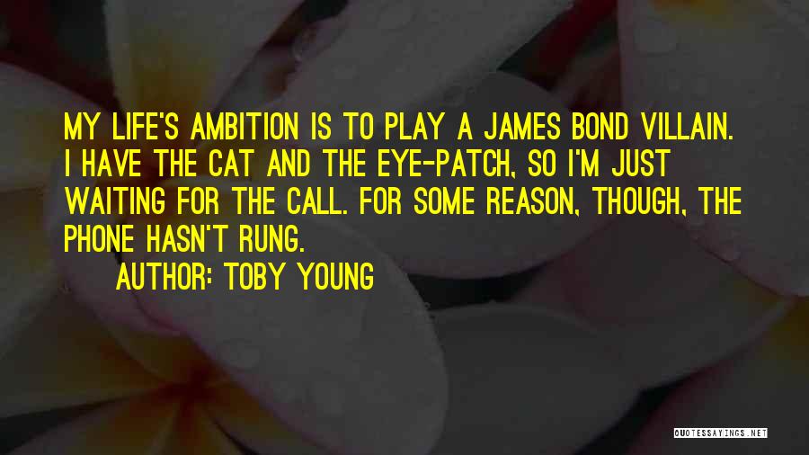 Bond Villain Quotes By Toby Young