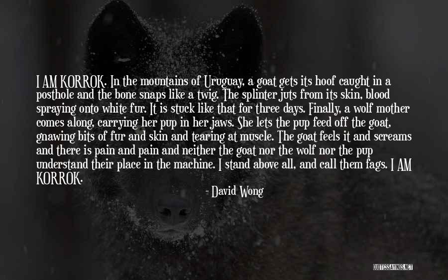 Bone And Blood Quotes By David Wong Bone And Blood Quotes By David Wong