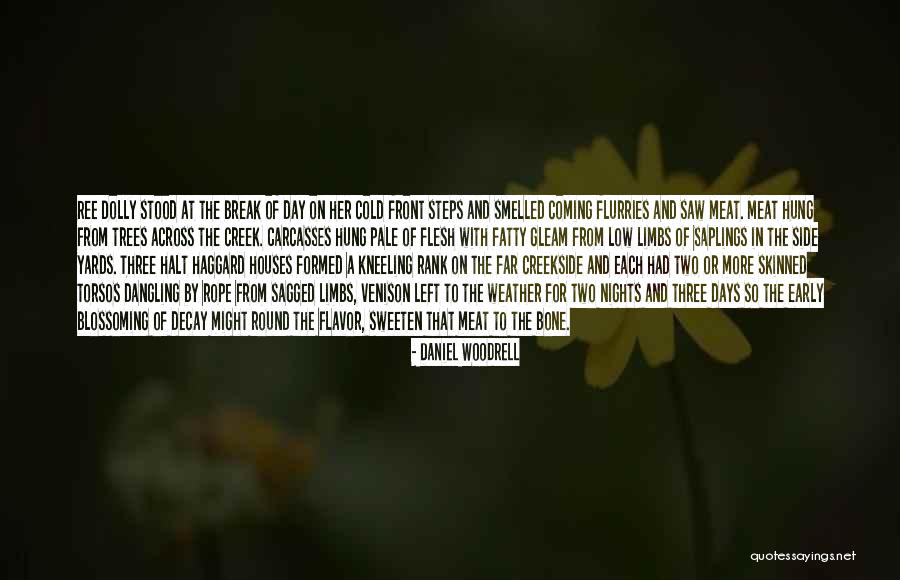 Bone Break Quotes By Daniel Woodrell Bone Break Quotes By Daniel Woodrell