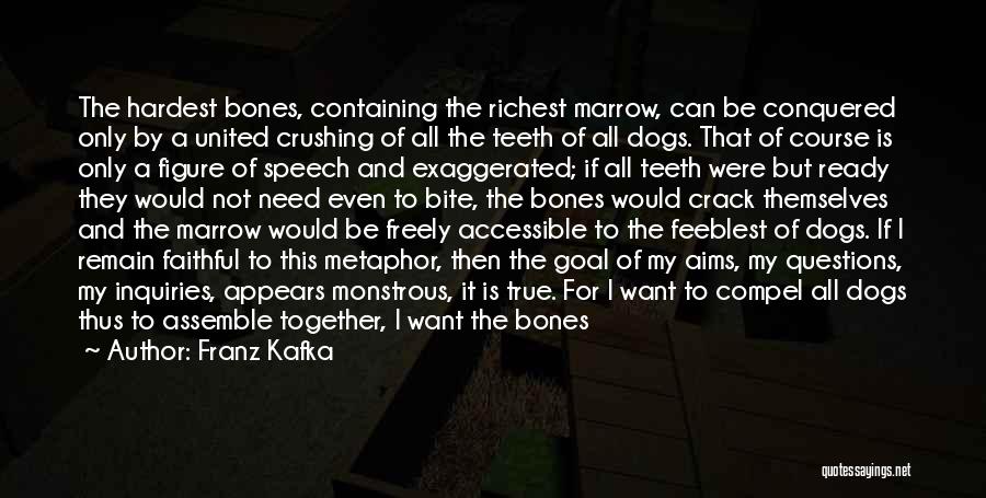 Bone Marrow Quotes By Franz Kafka