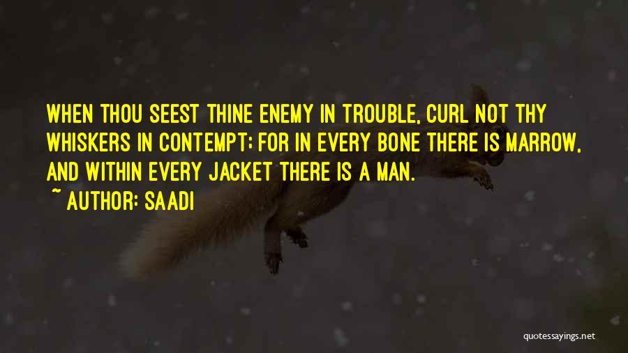 Bone Marrow Quotes By Saadi