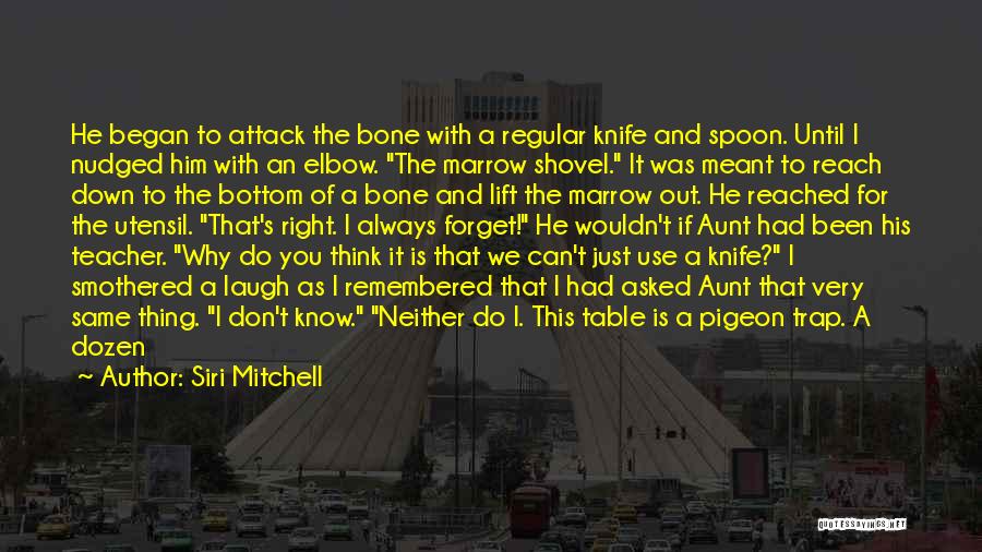 Bone Marrow Quotes By Siri Mitchell