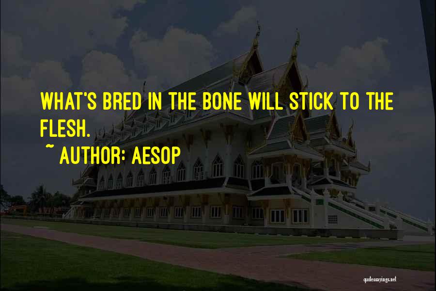 Bone Quotes By Aesop