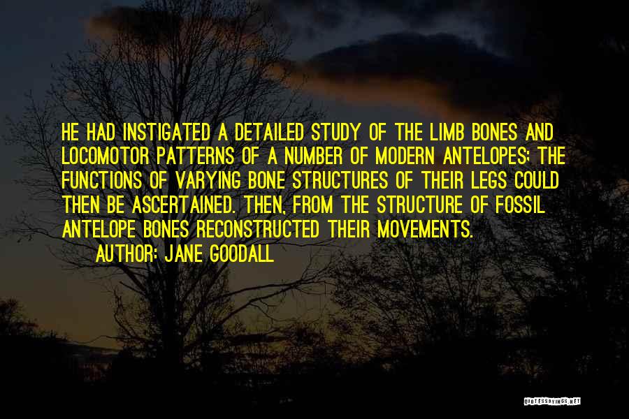 Bone Structure Quotes By Jane Goodall