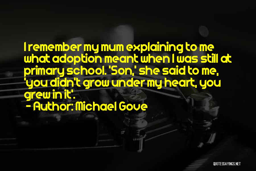 Bonebreaker Killer Quotes By Michael Gove