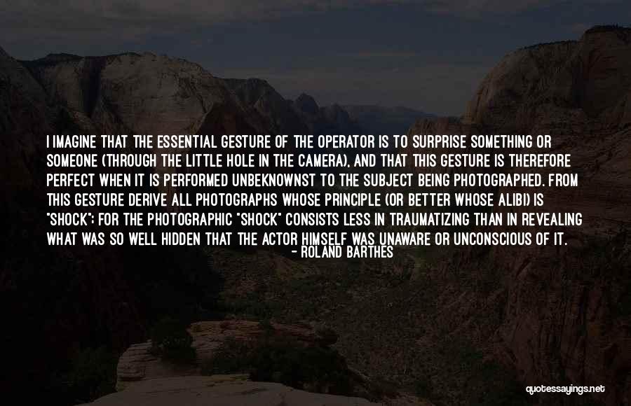 Bonete Fruta Quotes By Roland Barthes Bonete Fruta Quotes By Roland Barthes