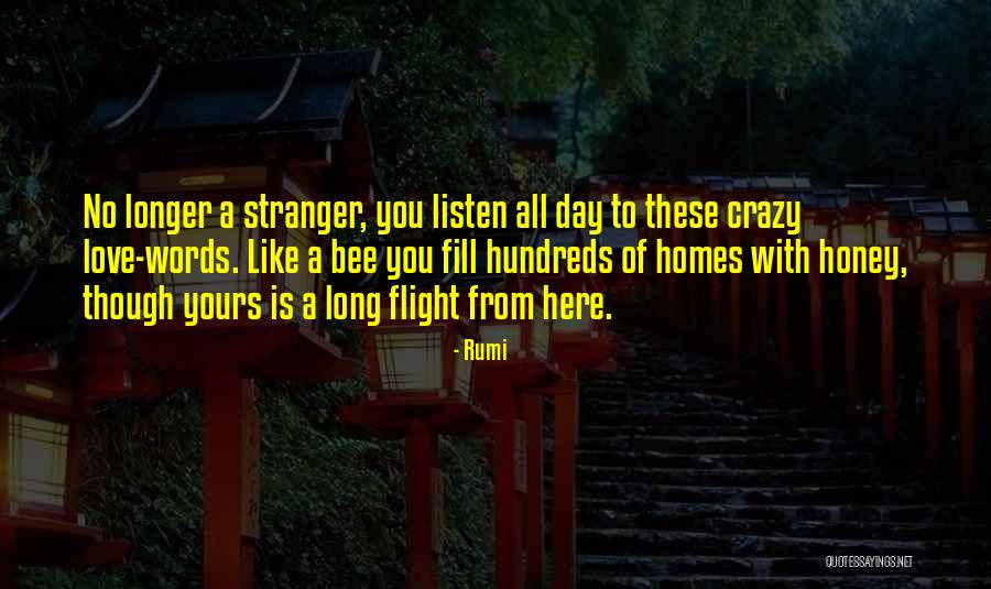 Bonfantini Calcio Quotes By Rumi Bonfantini Calcio Quotes By Rumi