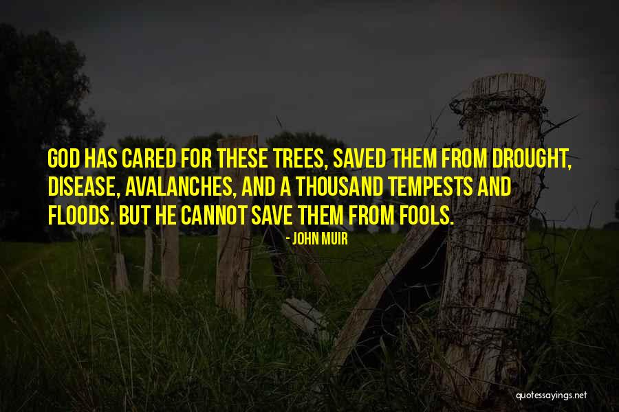 Bonfim Ementa Quotes By John Muir Bonfim Ementa Quotes By John Muir