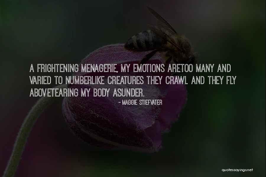 Bonfires And Hoodies Quotes By Maggie Stiefvater Bonfires And Hoodies Quotes By Maggie Stiefvater