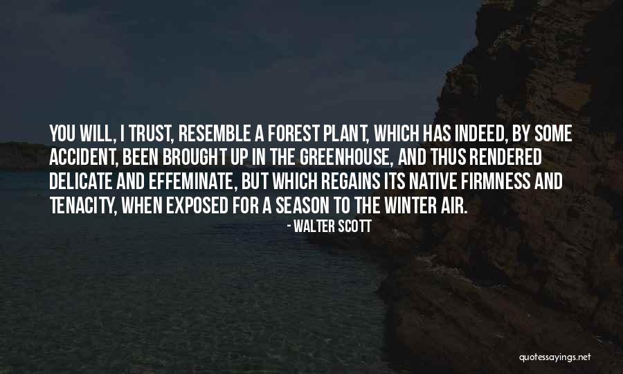 Bongfeldt Christopher Quotes By Walter Scott Bongfeldt Christopher Quotes By Walter Scott
