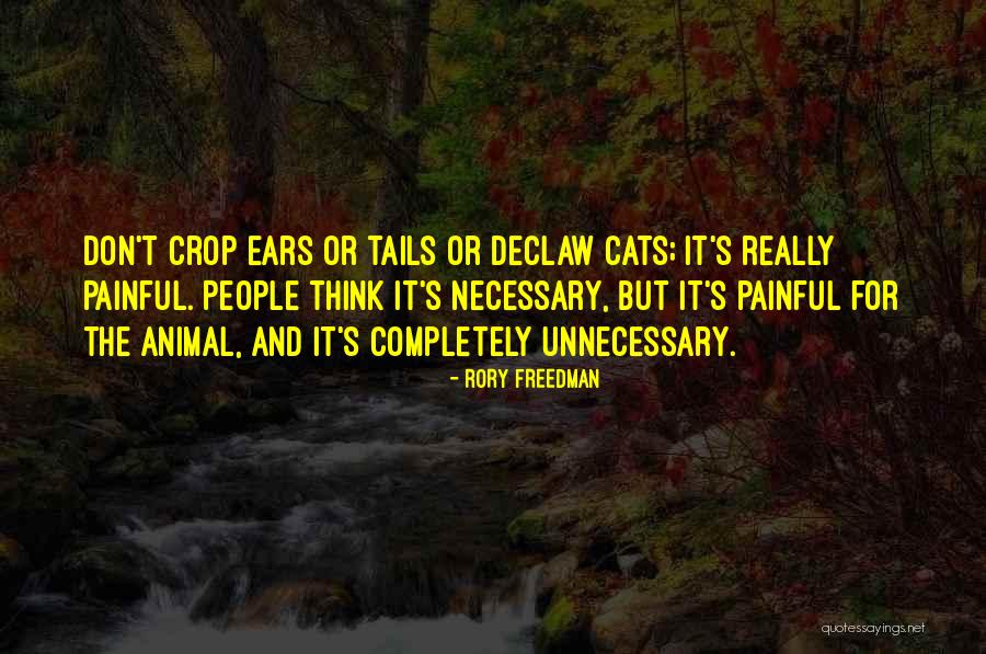 Bonheur Translation Quotes By Rory Freedman Bonheur Translation Quotes By Rory Freedman