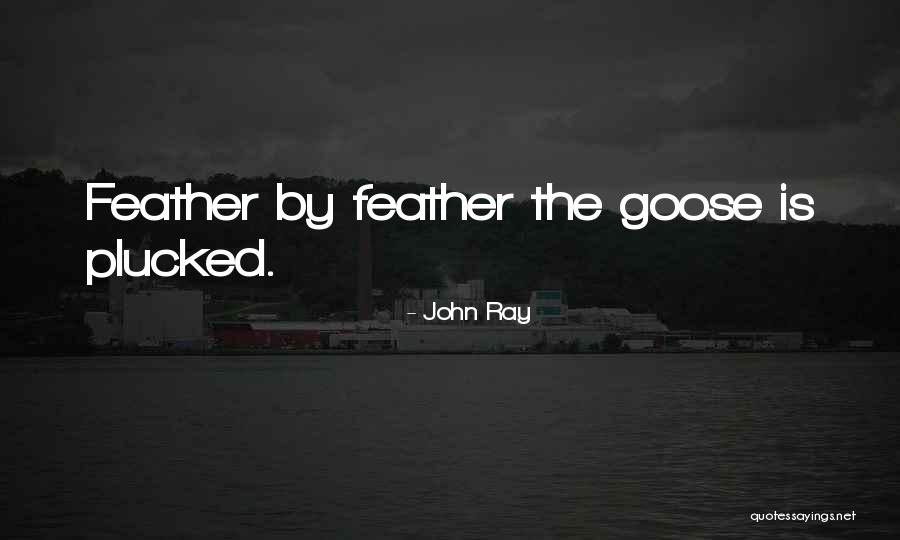 Bonillo Inmobiliaria Quotes By John Ray Bonillo Inmobiliaria Quotes By John Ray