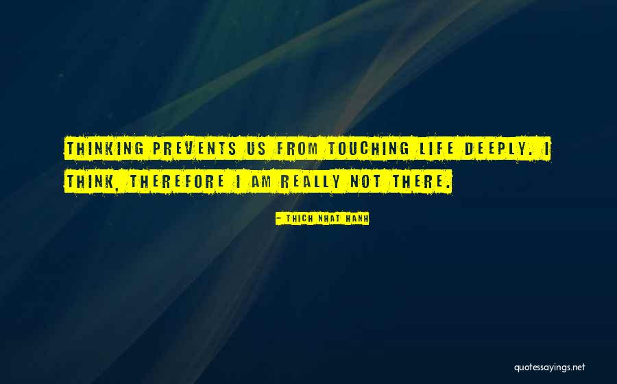 Bonnamy Quotes By Thich Nhat Hanh Bonnamy Quotes By Thich Nhat Hanh