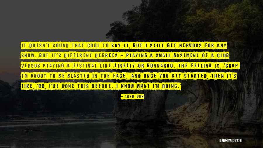 Bonnaroo Festival Quotes By Josh Dun