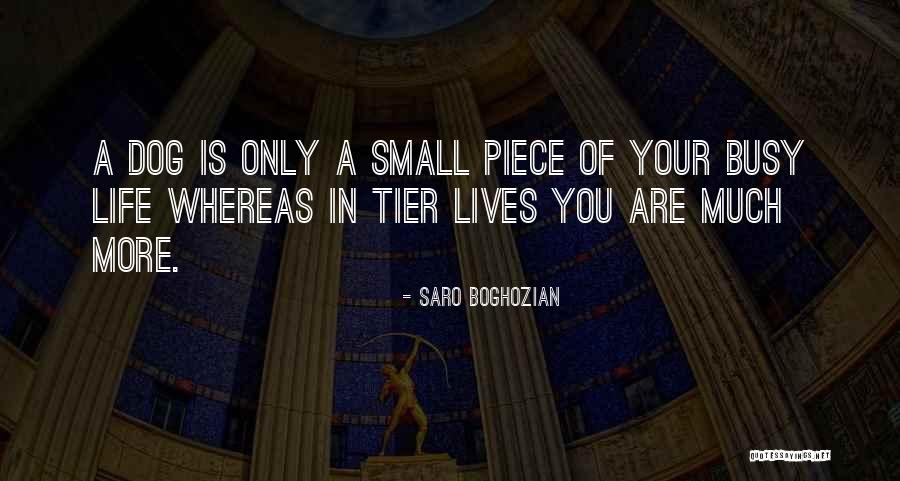 Bonnefil Duane Quotes By Saro Boghozian Bonnefil Duane Quotes By Saro Boghozian