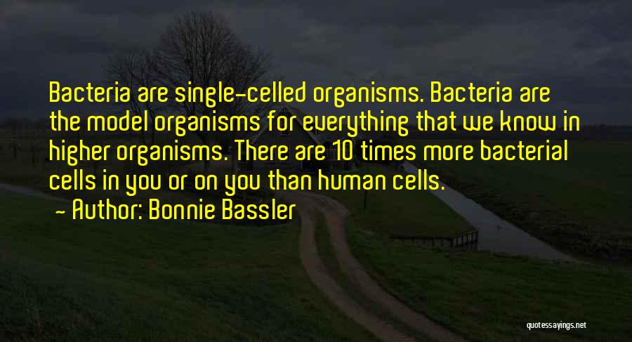 Bonnie Bassler Quotes 1995158
