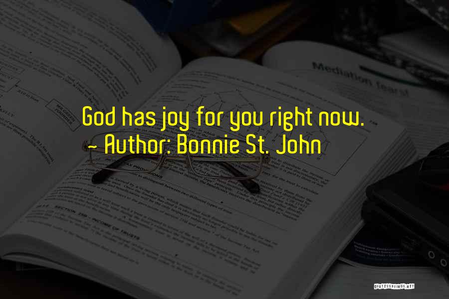 Bonnie St. John Quotes 471427