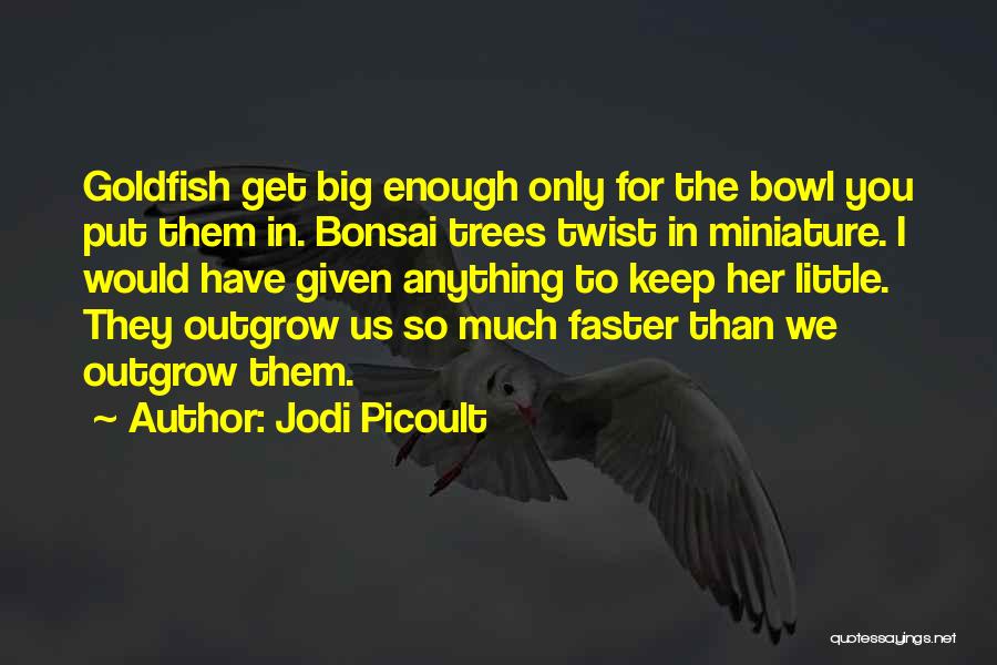 Bonsai Trees Quotes By Jodi Picoult