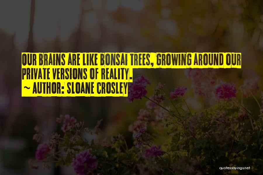 Bonsai Trees Quotes By Sloane Crosley