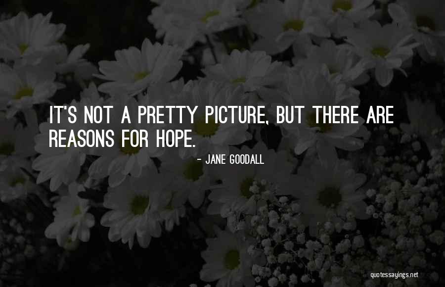 Bonsang Wiki Quotes By Jane Goodall Bonsang Wiki Quotes By Jane Goodall