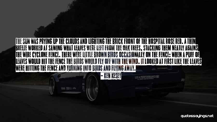 Bonsels Appliance Quotes By Ken Kesey Bonsels Appliance Quotes By Ken Kesey