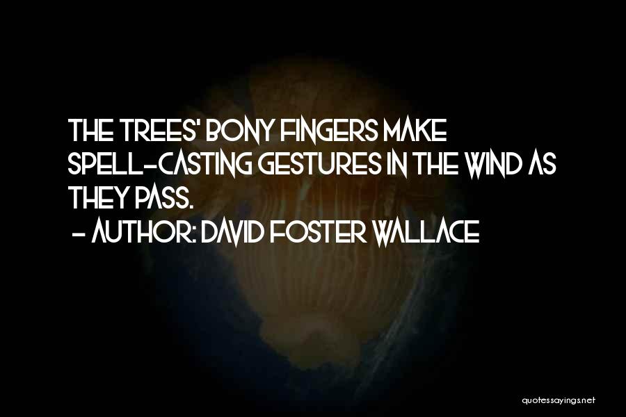 Bony T Quotes By David Foster Wallace