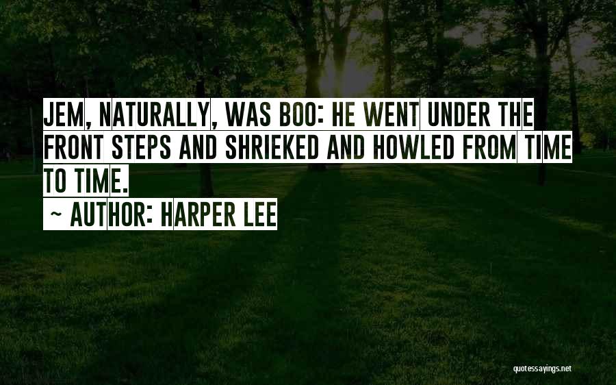 Boo Boo Quotes By Harper Lee