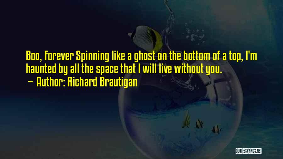 Boo Boo Quotes By Richard Brautigan
