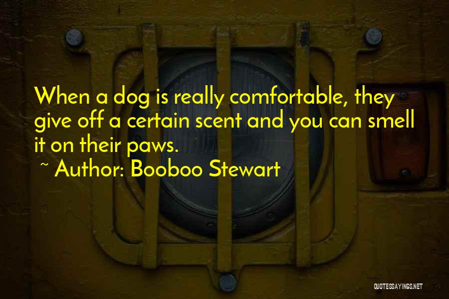 Booboo Stewart Quotes 1548639