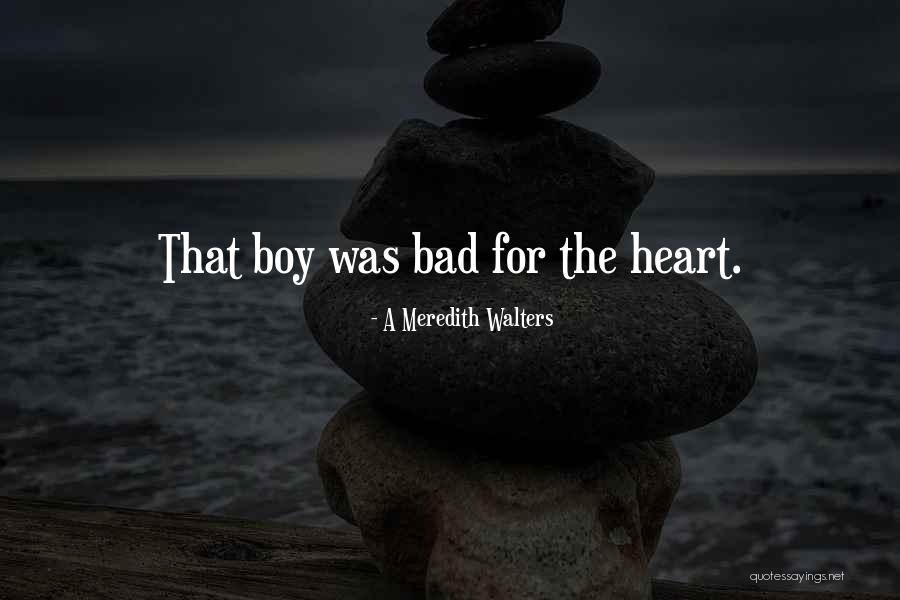 Boobus Maximus Quotes By A Meredith Walters Boobus Maximus Quotes By A Meredith Walters