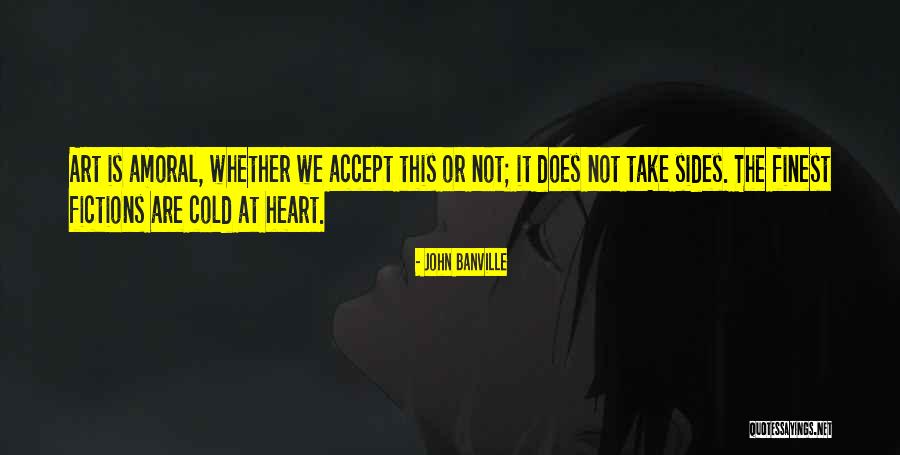 Booda Box Quotes By John Banville Booda Box Quotes By John Banville