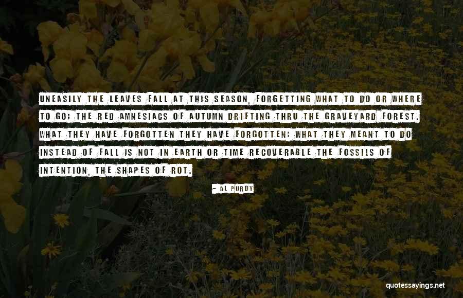 Boogie Mendoza Quotes By Al Purdy Boogie Mendoza Quotes By Al Purdy