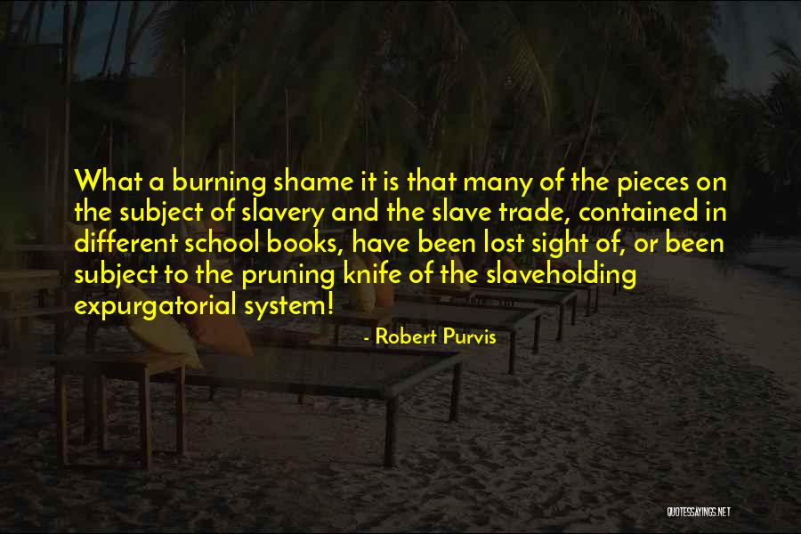 Book Burning Quotes By Robert Purvis