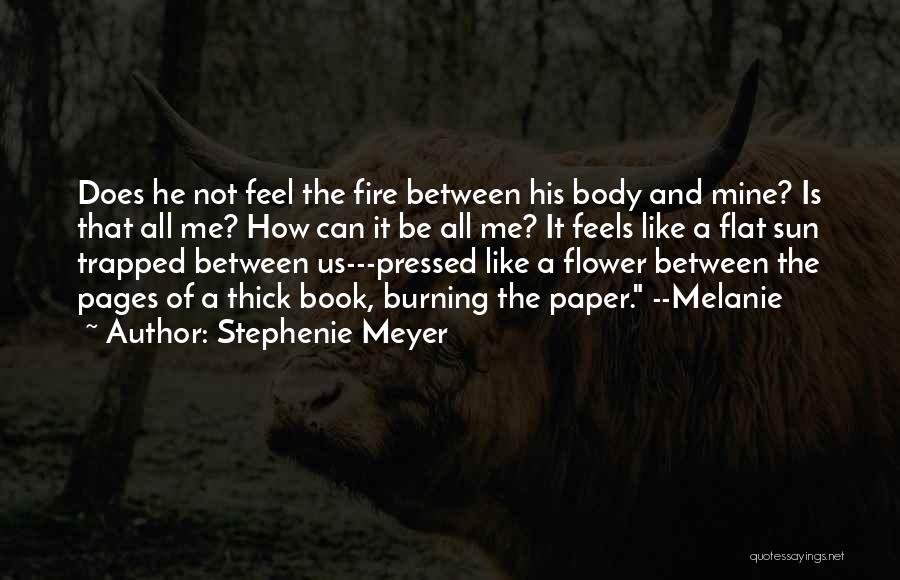 Book Burning Quotes By Stephenie Meyer