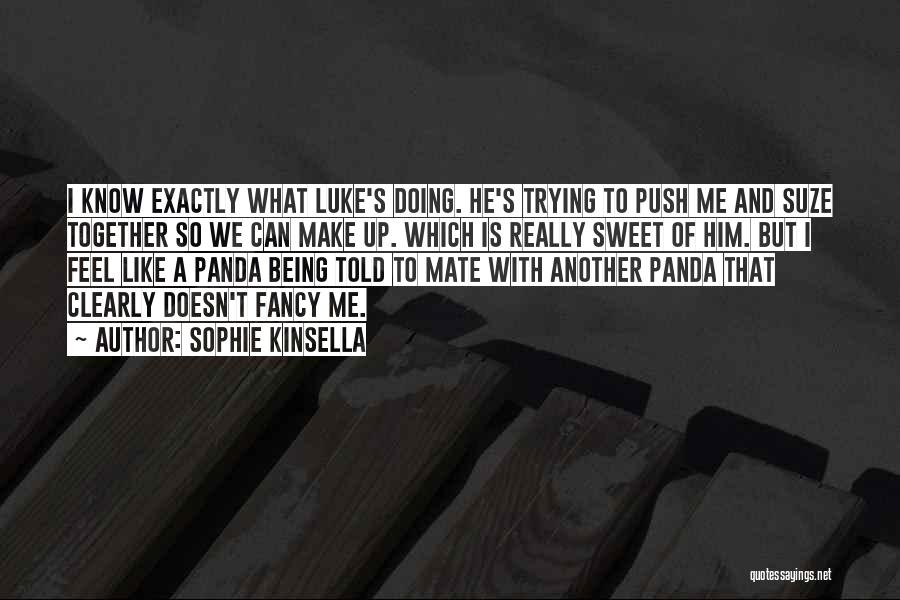 Book Fairs Quotes By Sophie Kinsella