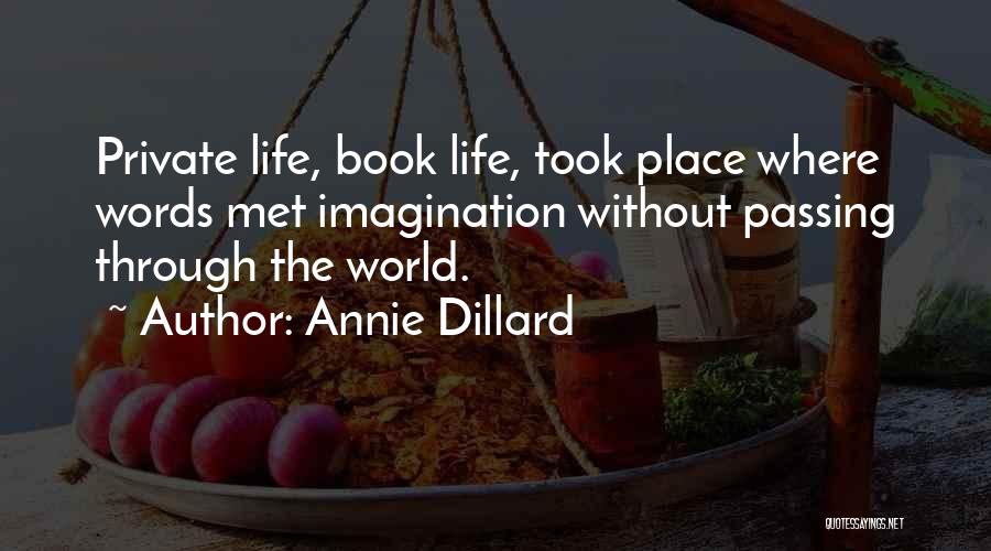 Book Imagination Quotes By Annie Dillard