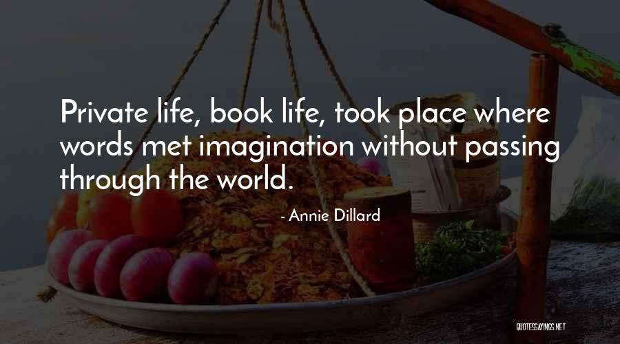 Book Imagination Quotes By Annie Dillard