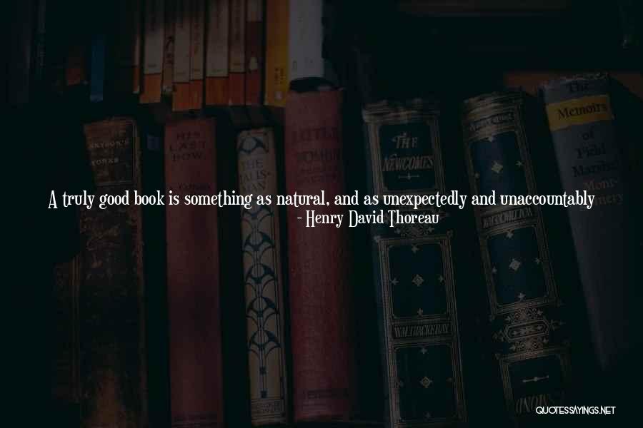 quotes into the wild book quotes into the wild book