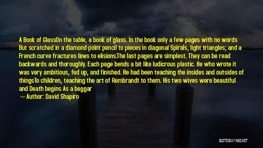 Book Light Quotes By David Shapiro