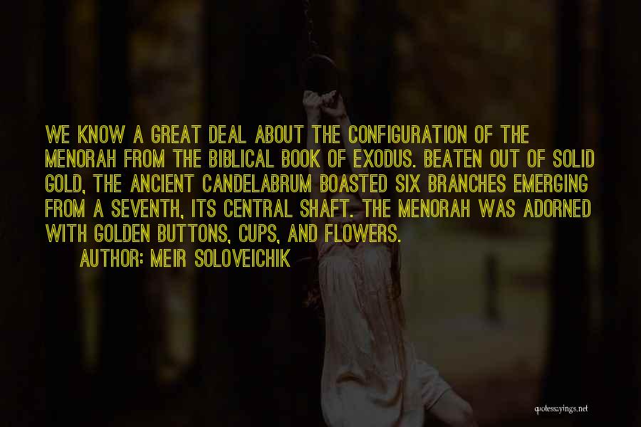 Book Of Biblical Quotes By Meir Soloveichik