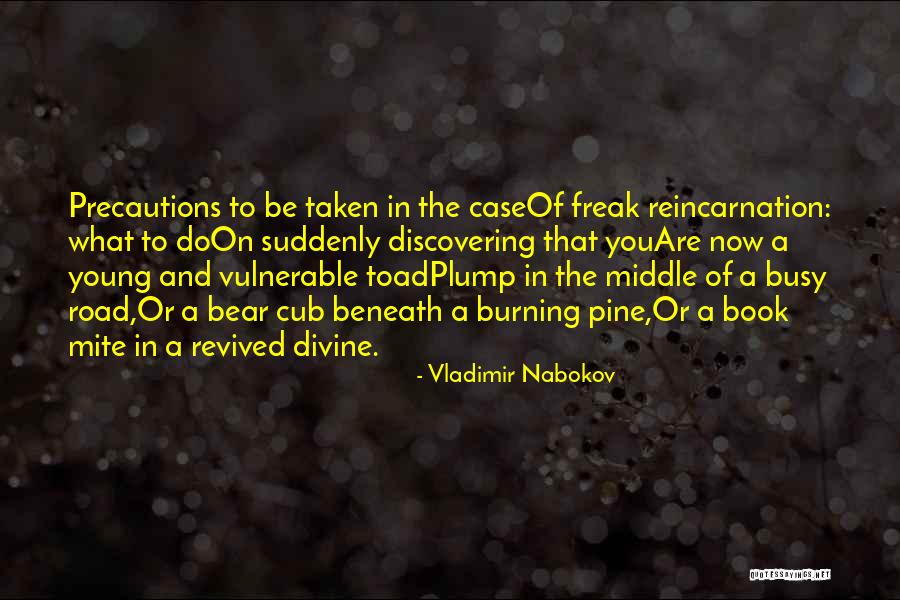 Book On The Road Quotes By Vladimir Nabokov