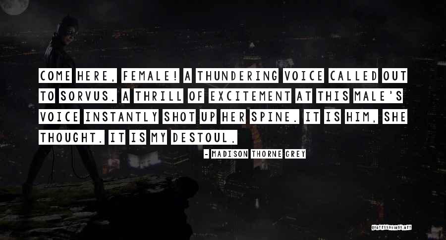 Book Spine Quotes By Madison Thorne Grey Book Spine Quotes By Madison Thorne Grey