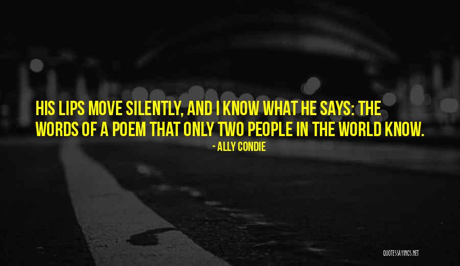 Book Thief Rudys Death Quotes By Ally Condie Book Thief Rudys Death Quotes By Ally Condie