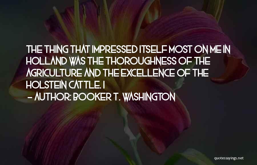 Booker T. Washington Quotes 1030014