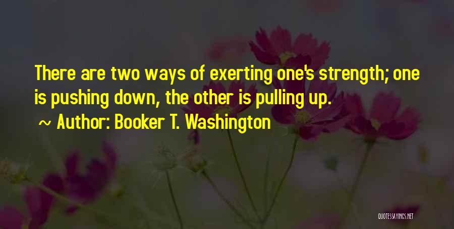 Booker T. Washington Quotes 623739