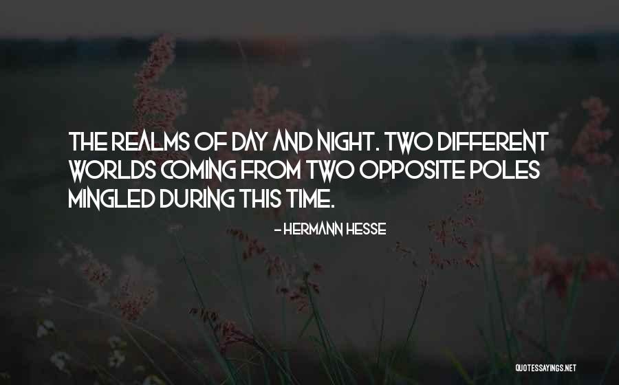 Bookflix Quotes By Hermann Hesse Bookflix Quotes By Hermann Hesse
