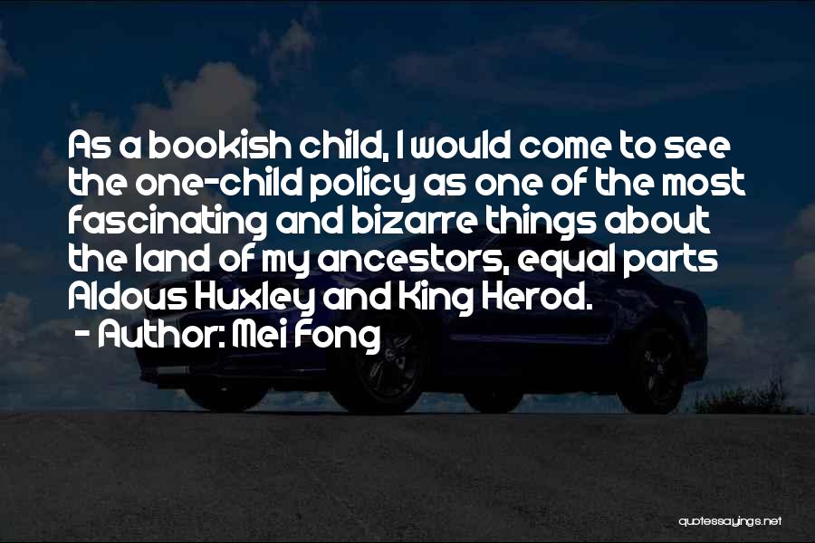 Bookish Quotes By Mei Fong