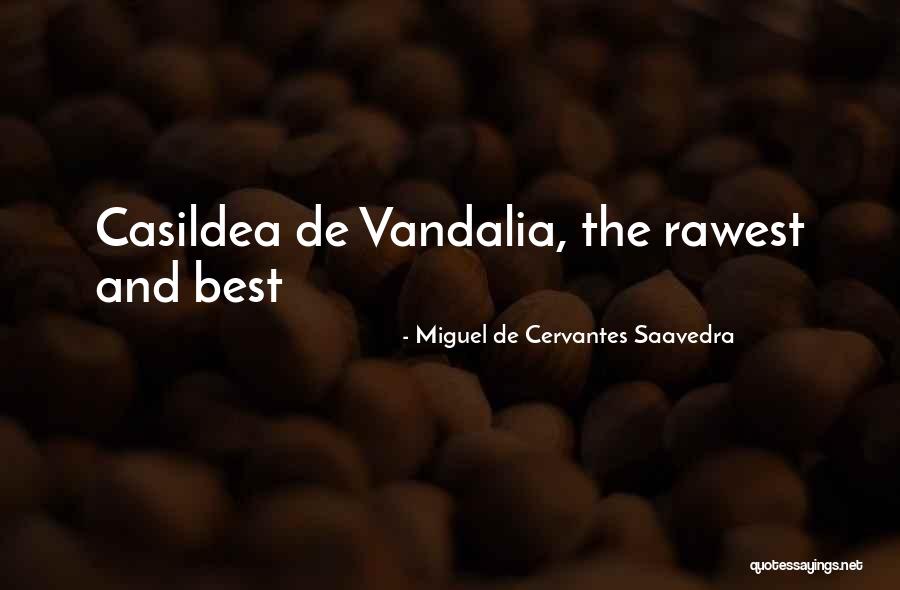 Booklist Byu Quotes By Miguel De Cervantes Saavedra Booklist Byu Quotes By Miguel De Cervantes Saavedra