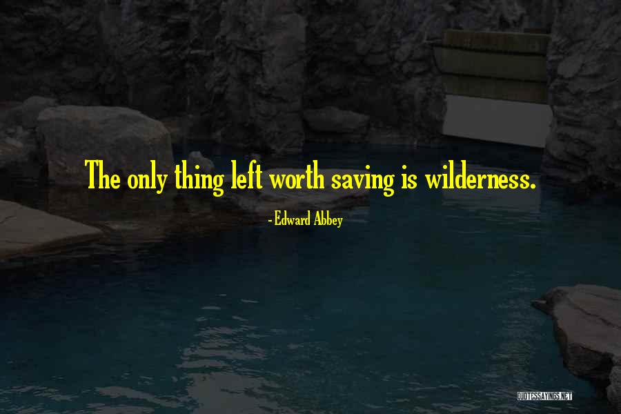 Bookmobile Cat Quotes By Edward Abbey Bookmobile Cat Quotes By Edward Abbey